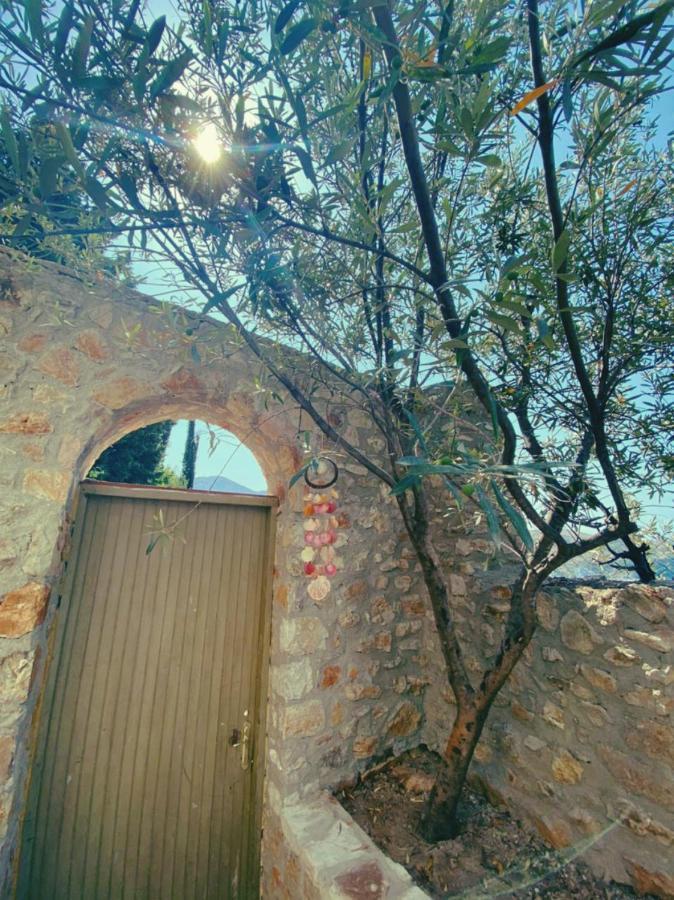 Lemons&Olives Rooms Himara Zewnętrze zdjęcie